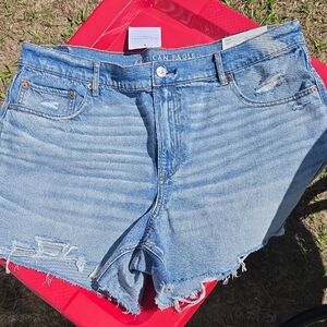 American Eagle Outfitters Light Wash Distressed Denim Shorts